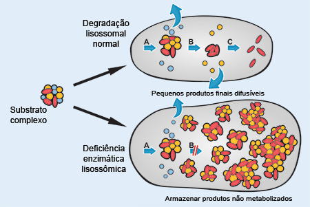 Doenças do Armazenamento Lisossomal